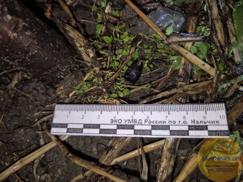 В Нальчике полицейские накрыли закладчиков с крупной партией метадона