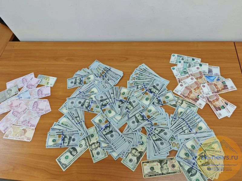 Россиянка попалась на вывозе валюты через аэропорт Минеральные Воды