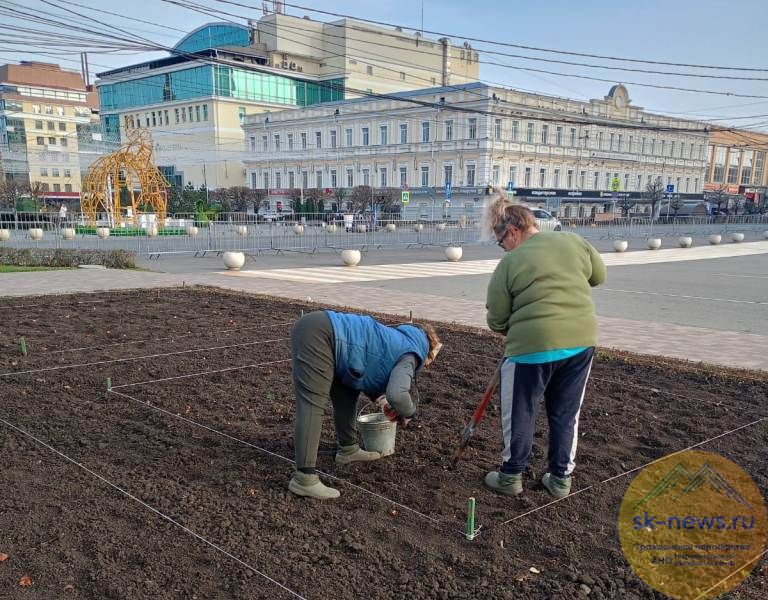 Клумбы Ставрополя готовятся встретить холода с более 200 тысячами цветов