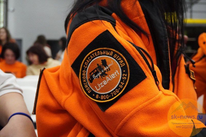 403 спасенные жизни - поисково-спасательный отряд "ЛизаАлерт" Ставрополья подвел итоги года