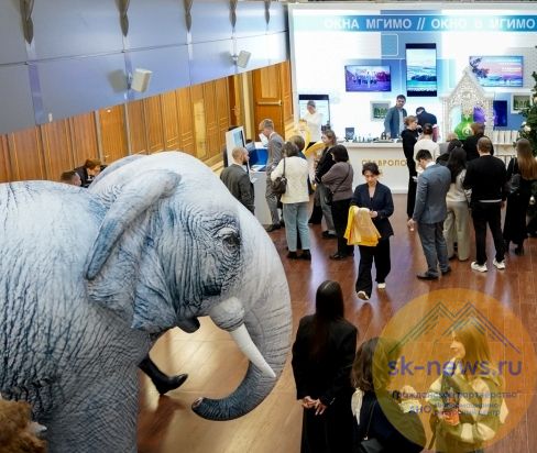 В Центре знаний «Машук» Пятигорска могут открыть «Летнюю школу» для обучения лучших студентов МГИМО