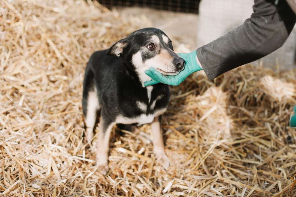 cgVABi9XSLQ.jpg cgVABi9XSLQ.jpg