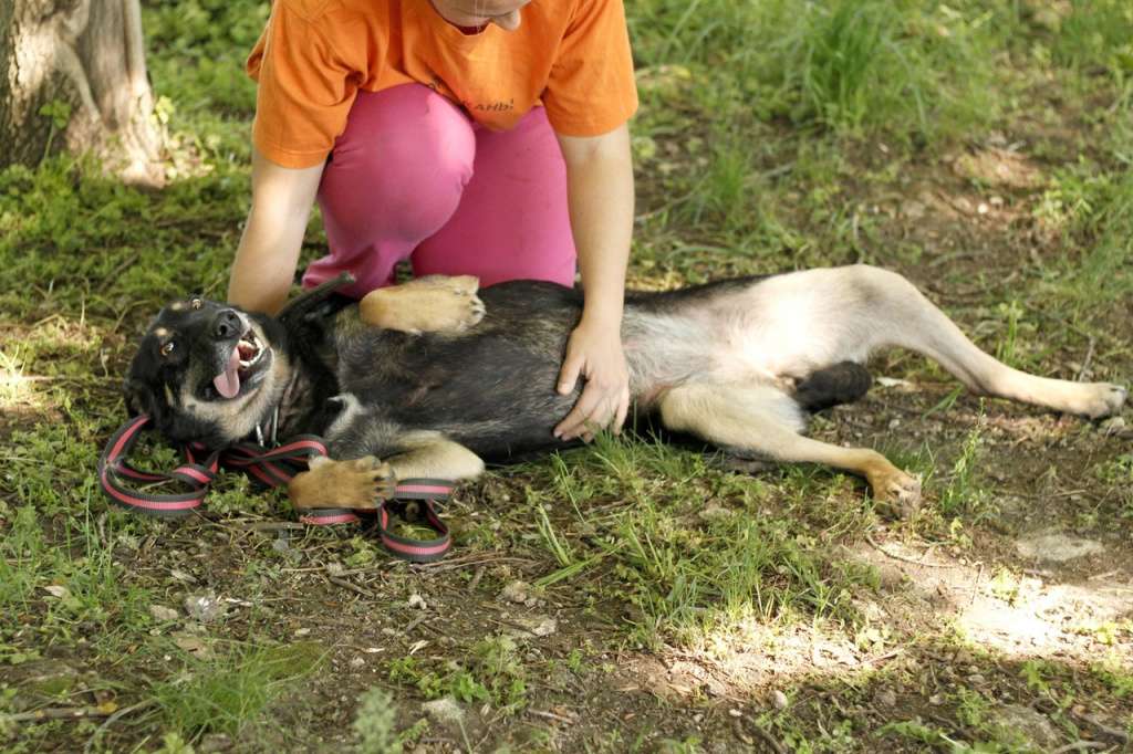 Y-P5PhSifh4.jpg Y-P5PhSifh4.jpg